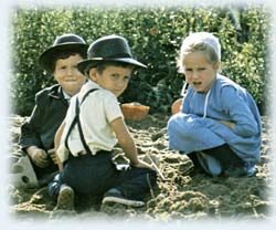 Mennonite Children