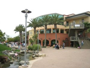 Saddleback Saddleback