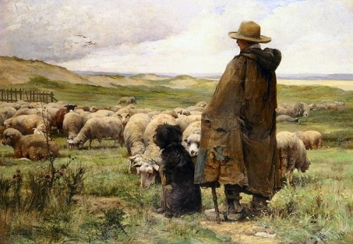 The Shepherd and His&nbsp;Sheepdogs