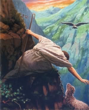 sheep-found-1005-115